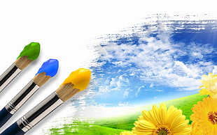 yellow petaled flower, paintbrushes, flowers, yellow flowers, sky