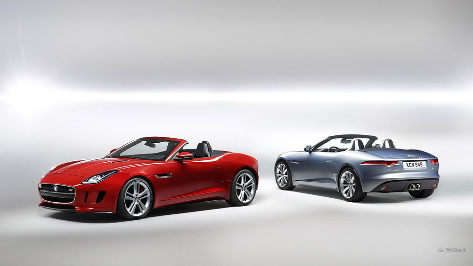 two red and blue convertible coupes, Jaguar F-Type, car HD wallpaper