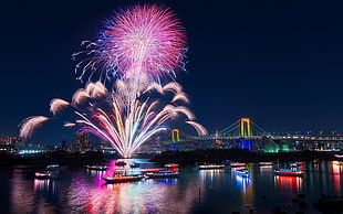 fireworks, city, river, boat, fireworks HD wallpaper
