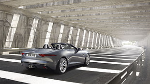 silver Jaguar convertible, Jaguar F-Type, Roadster, British cars HD wallpaper
