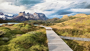 brown dock near grass and mountain at daytime