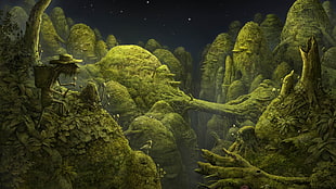 green forest illustration