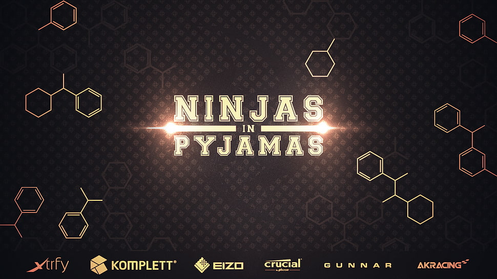 Ninjas in Pyjamas digital wallpaper, Ninjas In Pyjamas, Counter-Strike, Counter-Strike: Global Offensive HD wallpaper