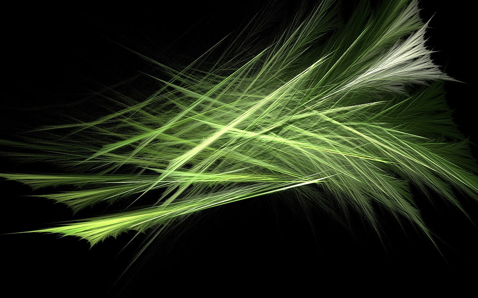 green colors HD wallpaper