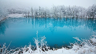 lake, lake, winter, snow, ice HD wallpaper