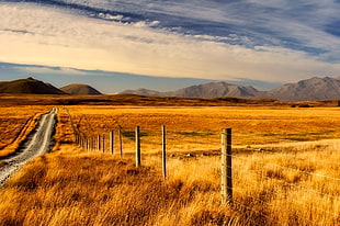 photo of brown wooden post on brown grass during daytime