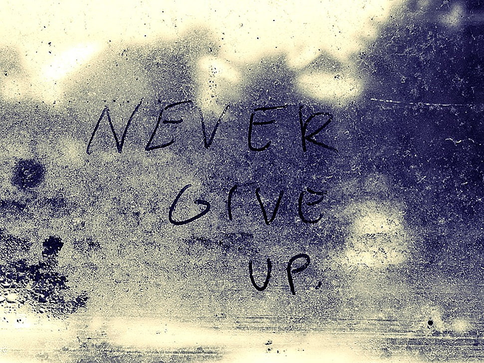 never give up text on gray background, graffiti HD wallpaper