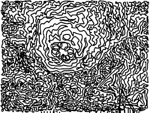 black and white illustration, pattern