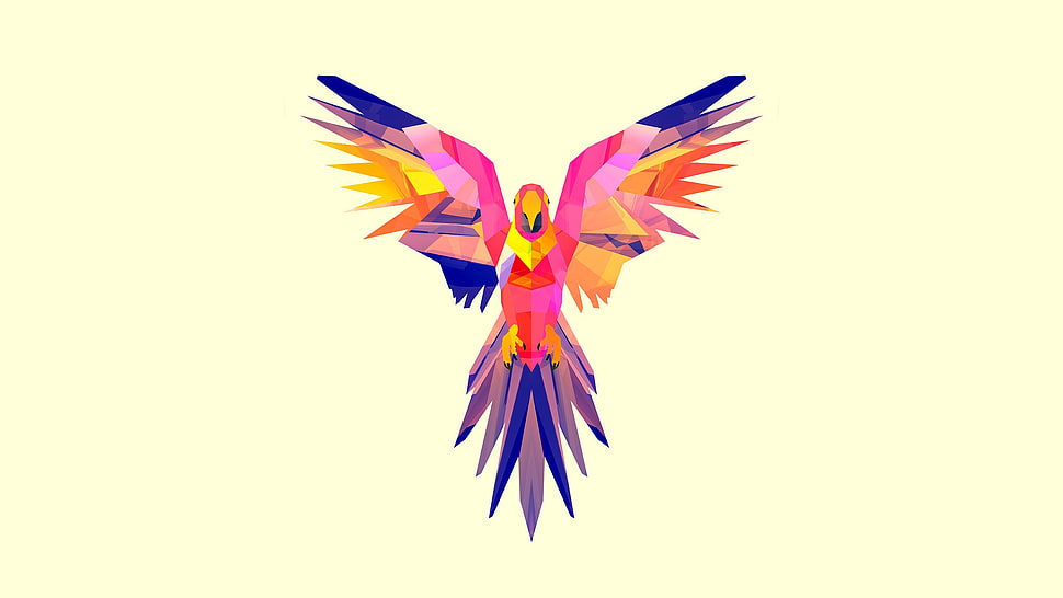 bird flying with purple and pink colored body illustration HD wallpaper