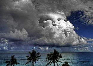 beach and cloudy skies photography