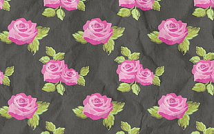 green, black, and pink floral print textile