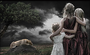 three woman hugging each other while staring at the lioness HD wallpaper