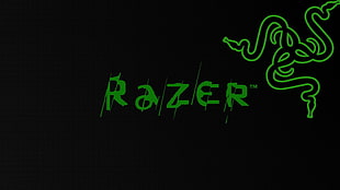 logo, Razer Inc., minimalism