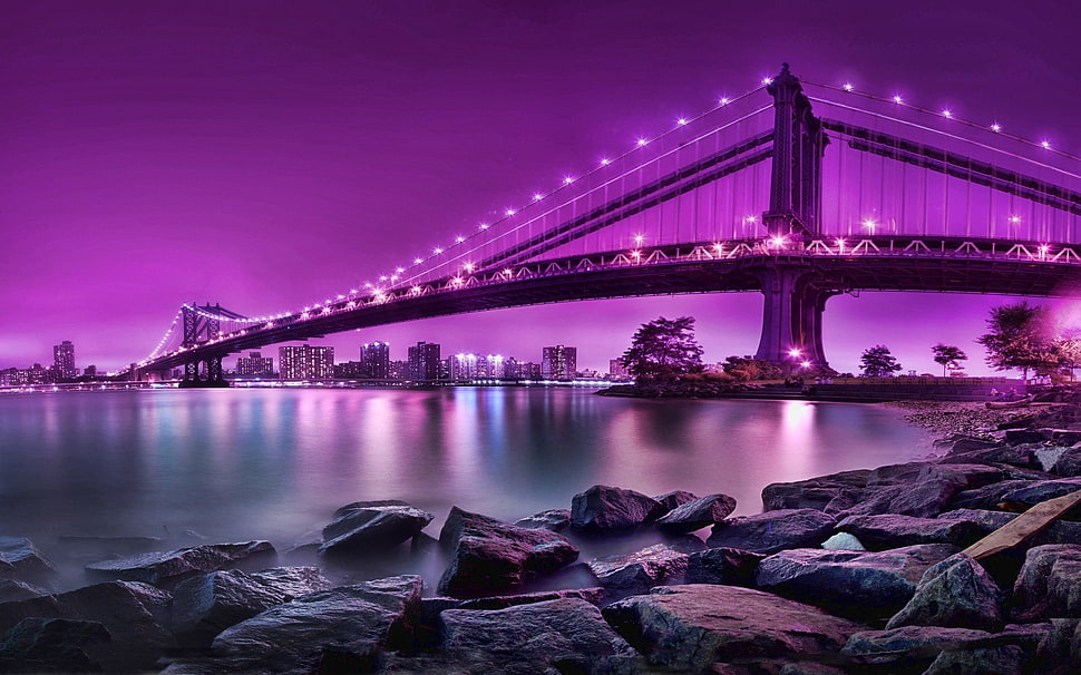 selective focus photography of Brooklyn Bridge, New York HD wallpaper