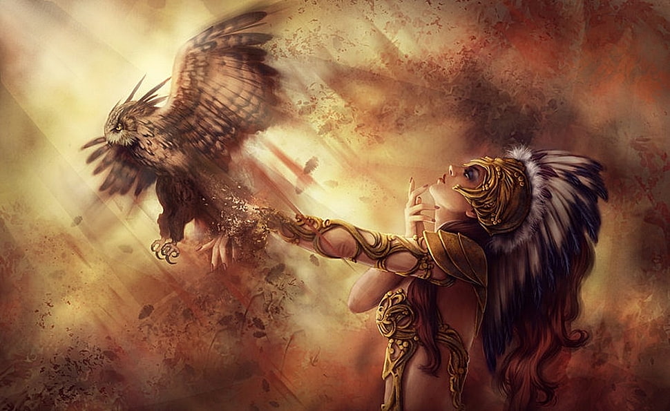 Native American and brown owl illustration, owl HD wallpaper