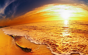 yellow sun rise photography HD wallpaper