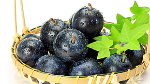 macro photography of black berries