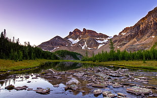 Banff National Park, Mountains, Wonder Pass, Landscape HD wallpaper