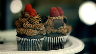 Chocolate raspberry cupcake