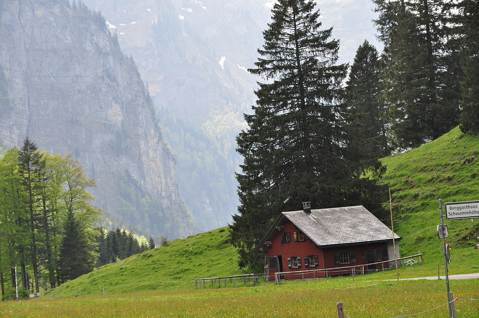 red house, nature, mountains, trees, hut HD wallpaper