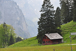 red house, nature, mountains, trees, hut