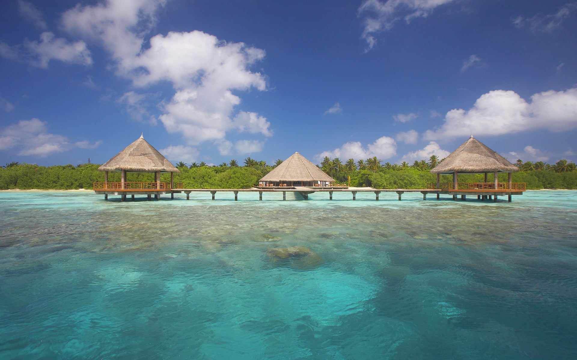 three brown wooden dock gazebos, beach, island, tropical