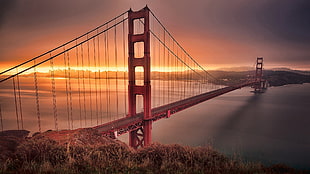 brown wooden bed frame with white mattress, Golden Gate Bridge, San Francisco
