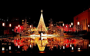 lighted Christmas tree photography