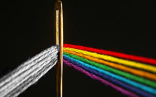multicolored thread on needles