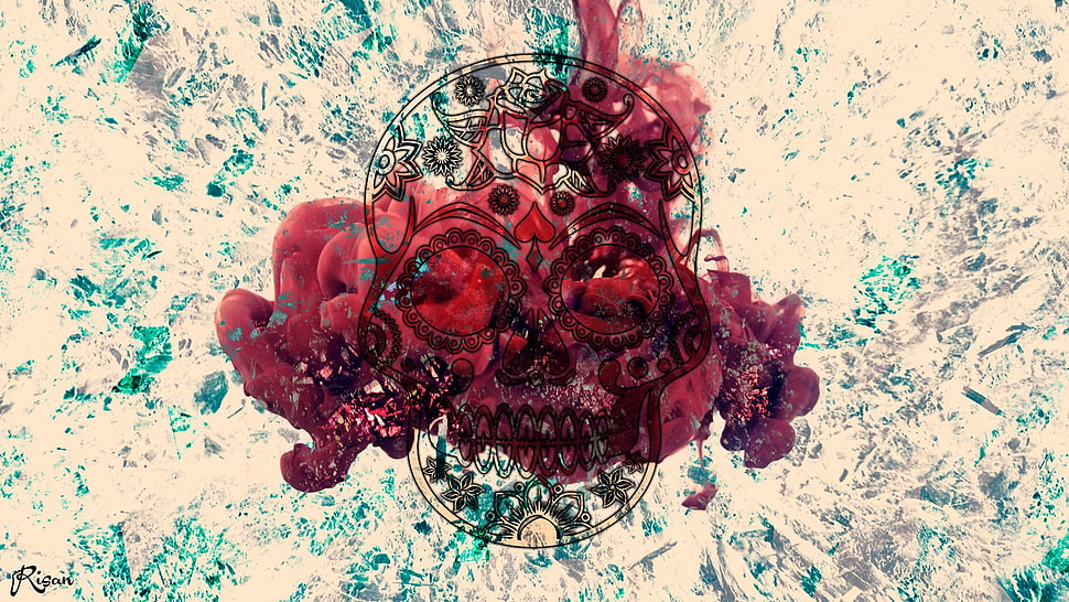 red and white skull wallpaper, skull, abstract, smoke, texture HD wallpaper