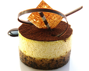 closeup photo of round chocolate coated cake