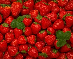 shallow focus photography of bunch of strawberry