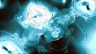 white jelly fish HD wallpaper