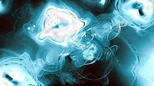 white jelly fish