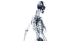 photo of human skeleton wearing gray corded headphones