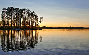 tree silhouette, lake, sunset, water, reflection