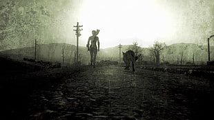 silhouette of person and wolf painting, Fallout, Fallout 3, artwork HD wallpaper