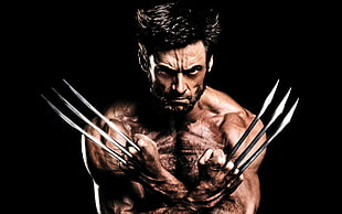 Marvel Wolverine HD wallpaper