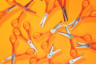 assorted of orange and gray metal scissors