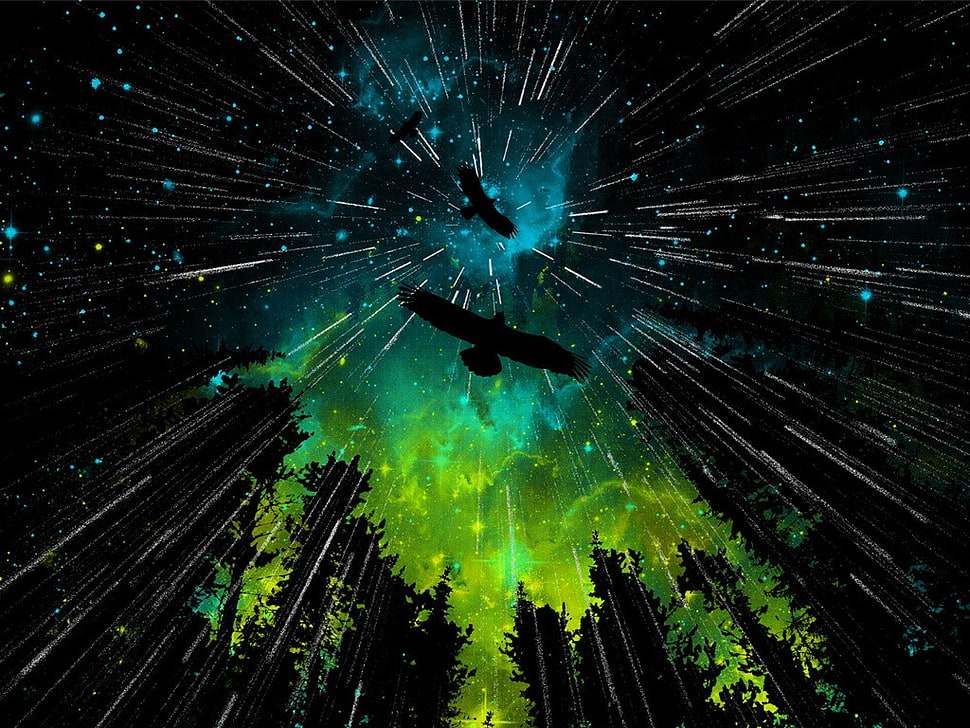 eagle silhouette wallpaper, birds, forest, eagle, streaks HD wallpaper