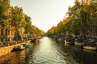 beige boat, Netherlands, october, canal, boat