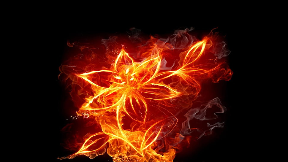 orange floral artwork, abstract, fire, flowers HD wallpaper