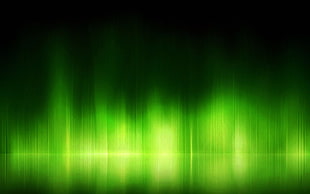 green and black digital wallpaper