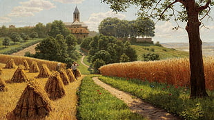 brown wheat fields, digital art, painting, nature, path