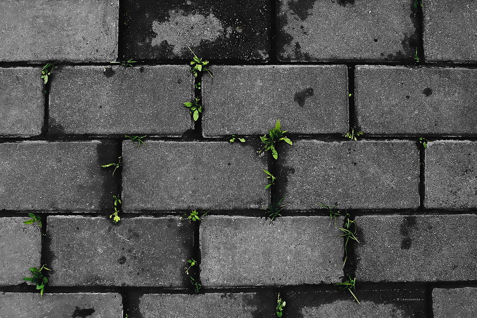 gray cinder blocks, wall HD wallpaper