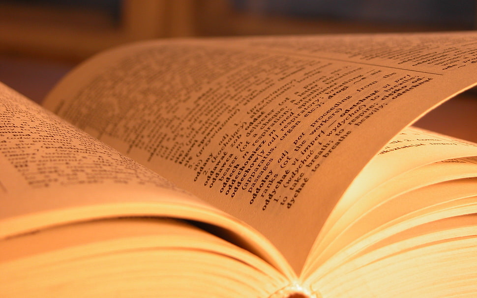 white book pages HD wallpaper