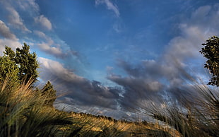 low angle photography of stormy clouds HD wallpaper