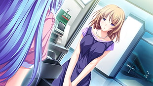 brown haired woman wearing purple dress standing in front of blue haired woman anime characters illustration