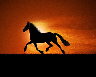 silhouette painting of horse during golden hour