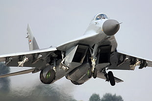 grey fighter plane